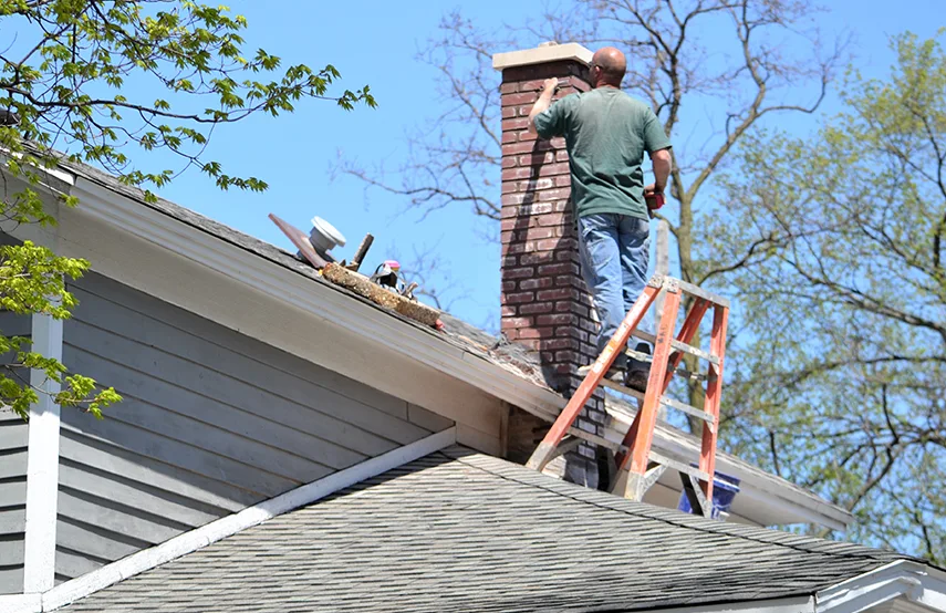 Chimney & Fireplace Inspections Services in Des Moines, WA